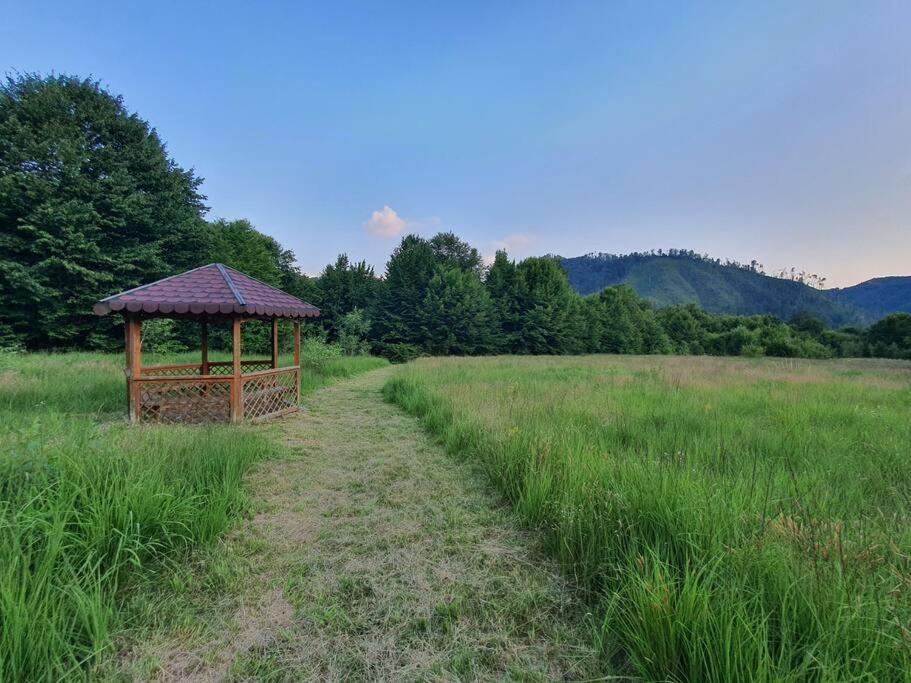 The Green House - Apuseni Mountains Pietroasa  Exterior photo