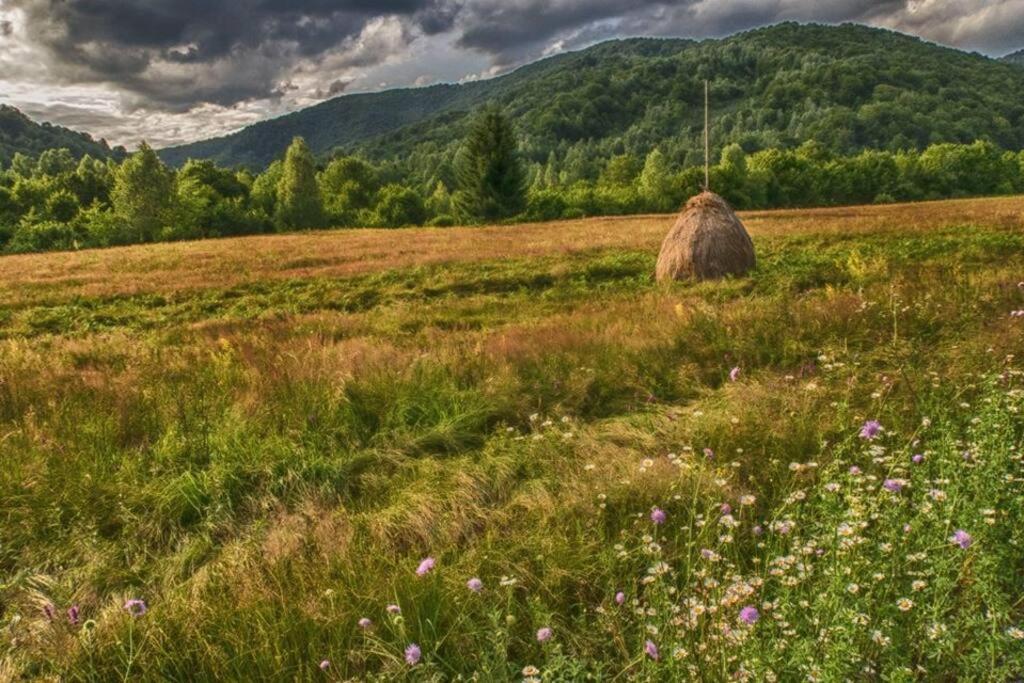 The Green House - Apuseni Mountains Pietroasa  Exterior photo